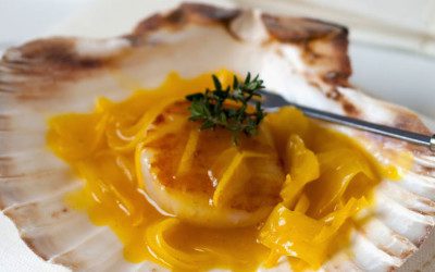 Sint-Jakobsnoten met citroen-saffraansaus – Knack Weekend #2