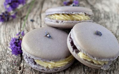 Lavendel macarons met witte chocolade