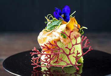 Spongecakeje van Thaise basilicum, gemarineerde zalm, gel van tom kha kai, bietengarnituur