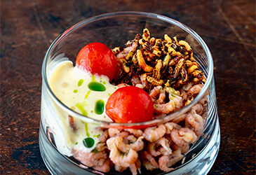 Grijze garnalen, kaasschuim, gepofte wilde rijst